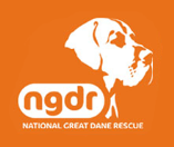 NATIONAL GREAT DANE RESCUE